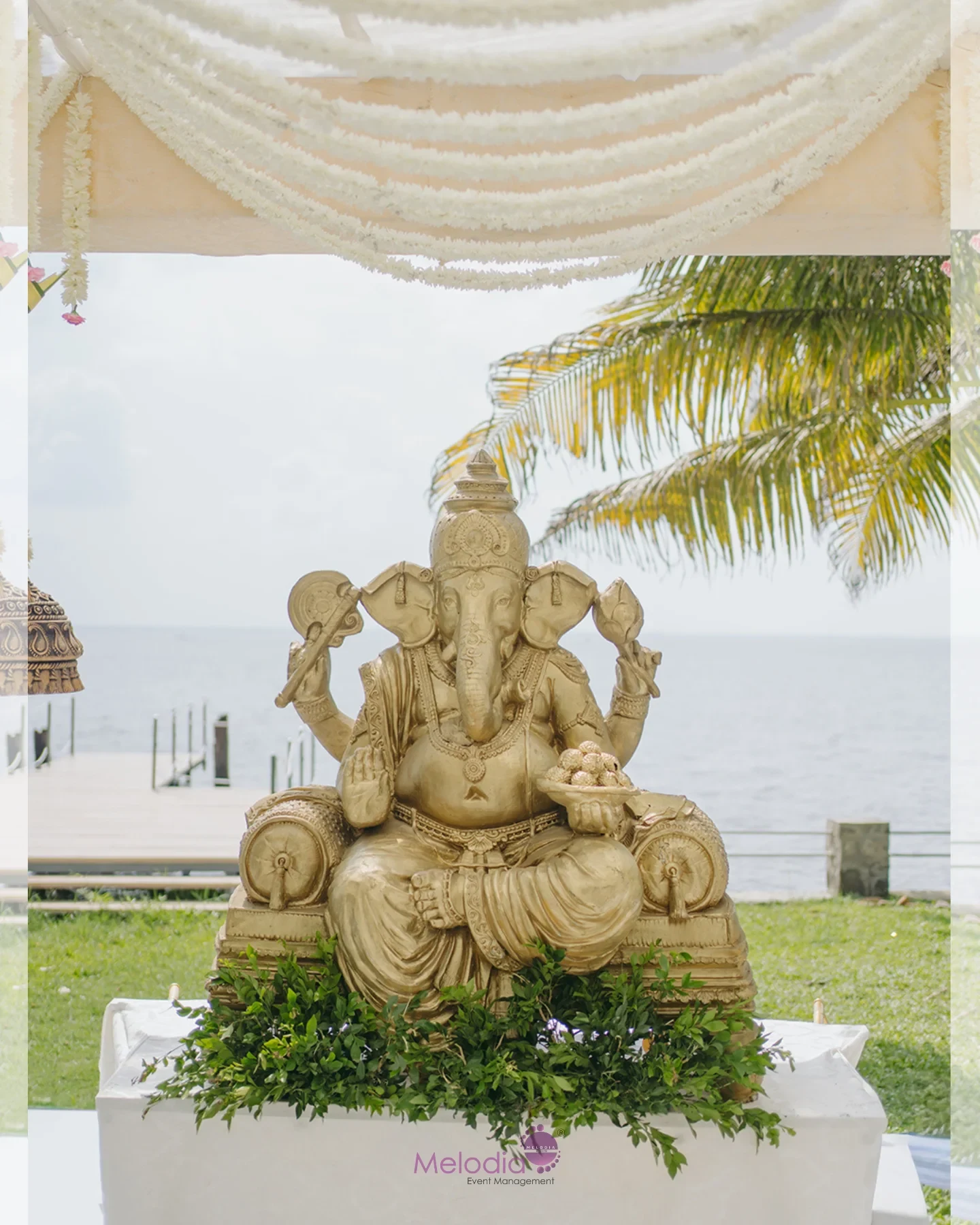 Event Management and Wedding Planning
